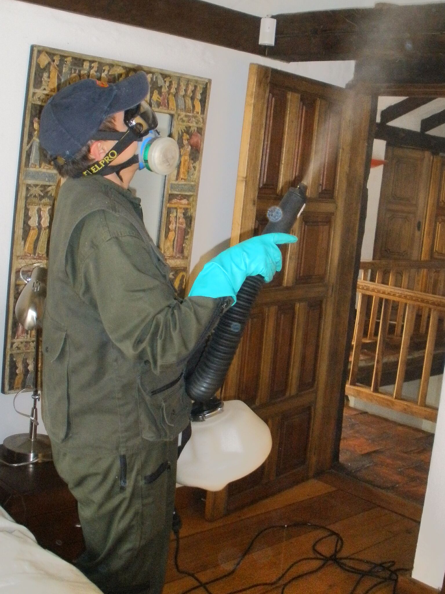 fumigación y control de plagas en Bogotá