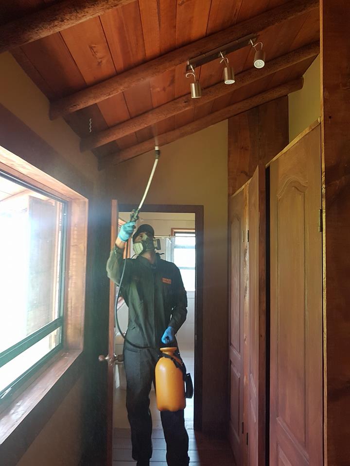 fumigación y control de plagas en Bogotá