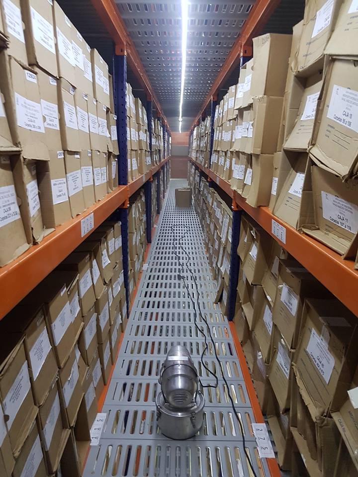 fumigación y control de plagas en Bogotá