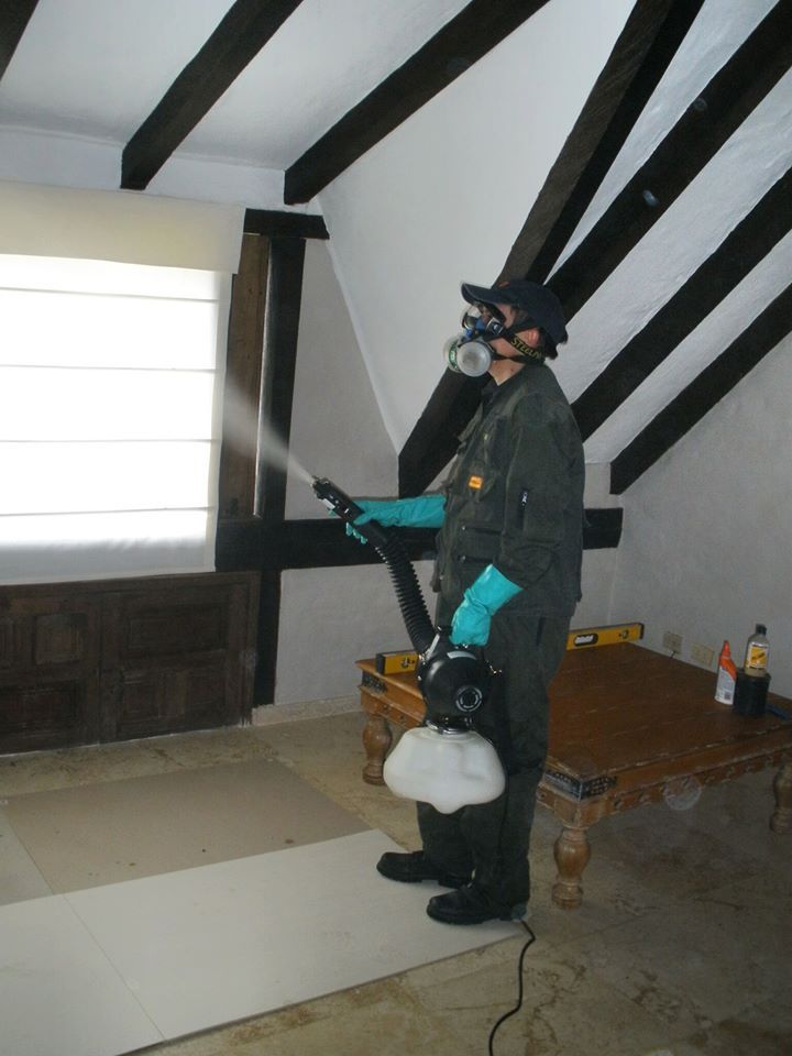 fumigación y control de plagas en Bogotá