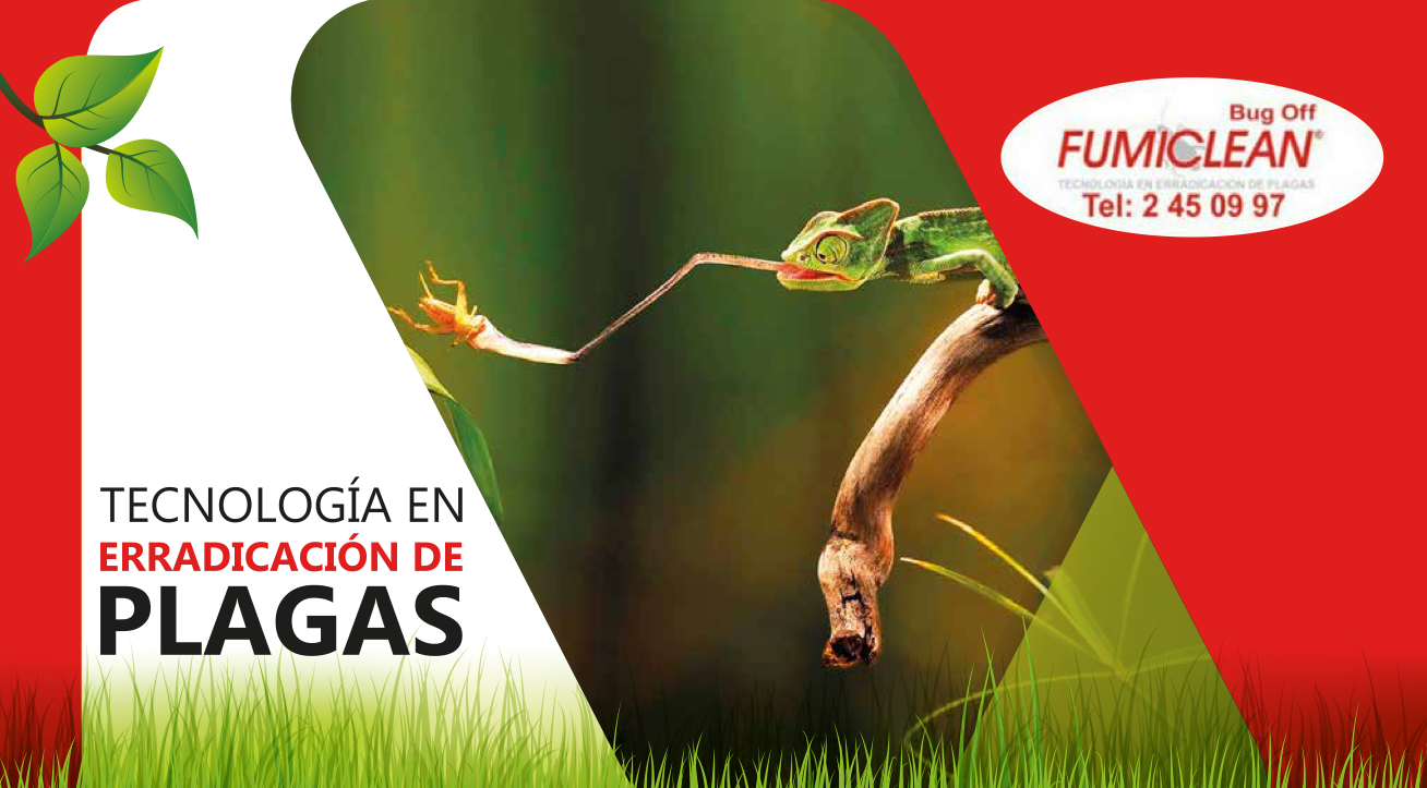Bug Off Fumiclean hombre realizando proceso de fumigación