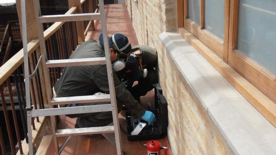 Bug Off Fumiclean tratamiento de madera