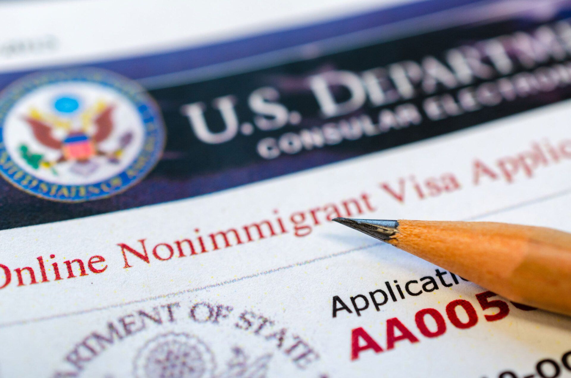 Non-Immigrant Visa Form — Nashville, TN — Haas Immigration Law Firm, PLC