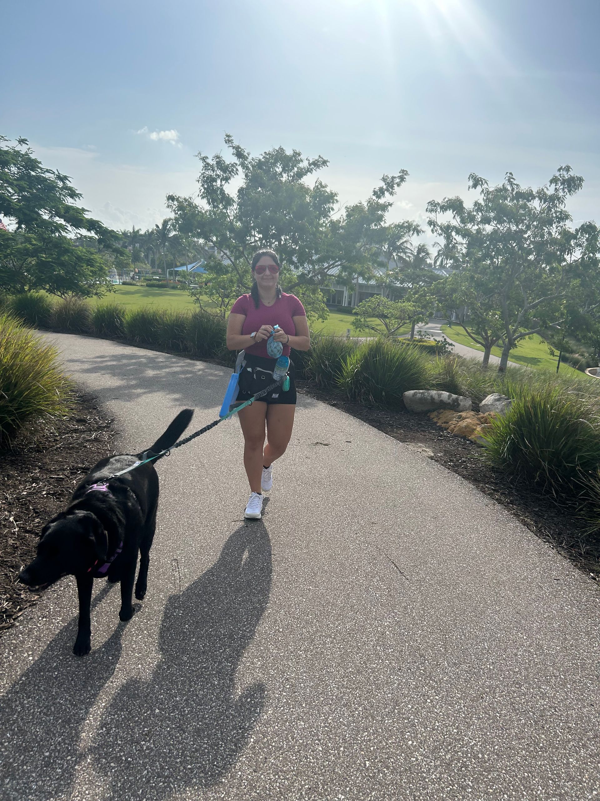 Experienced dog walker providing exercise and fresh air for happy pets