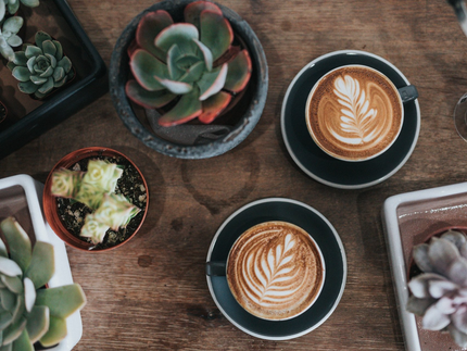 Coffee Art And Succulents — Coffee Run in Tamworth, NSW