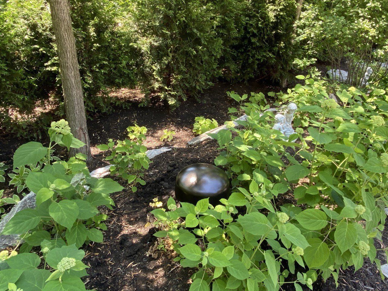 A black object is sitting in the middle of a lush green forest.