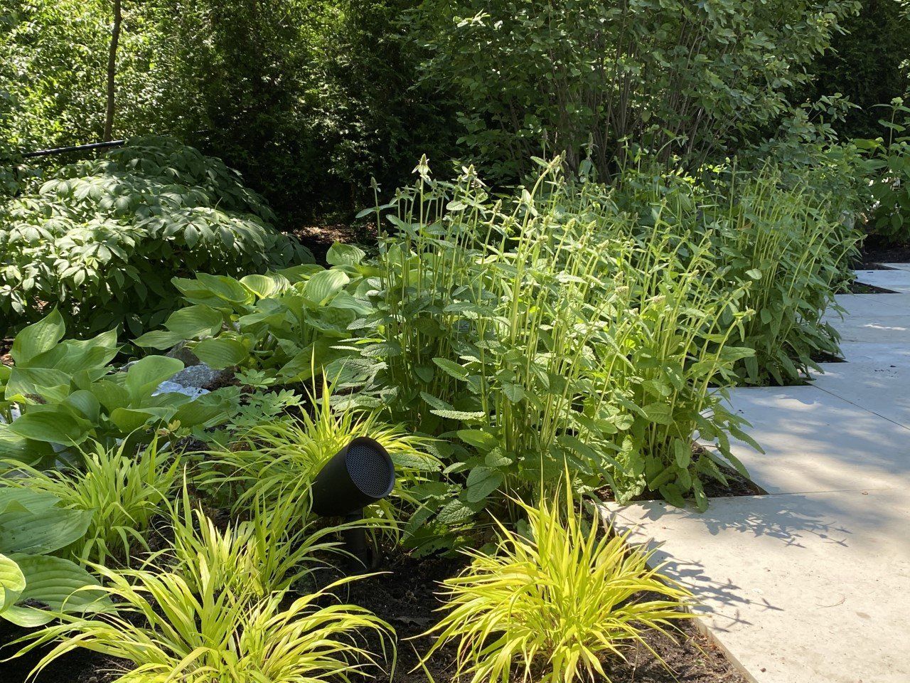 A garden with lots of plants and a speaker in the middle