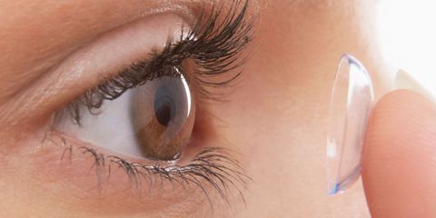 contacts