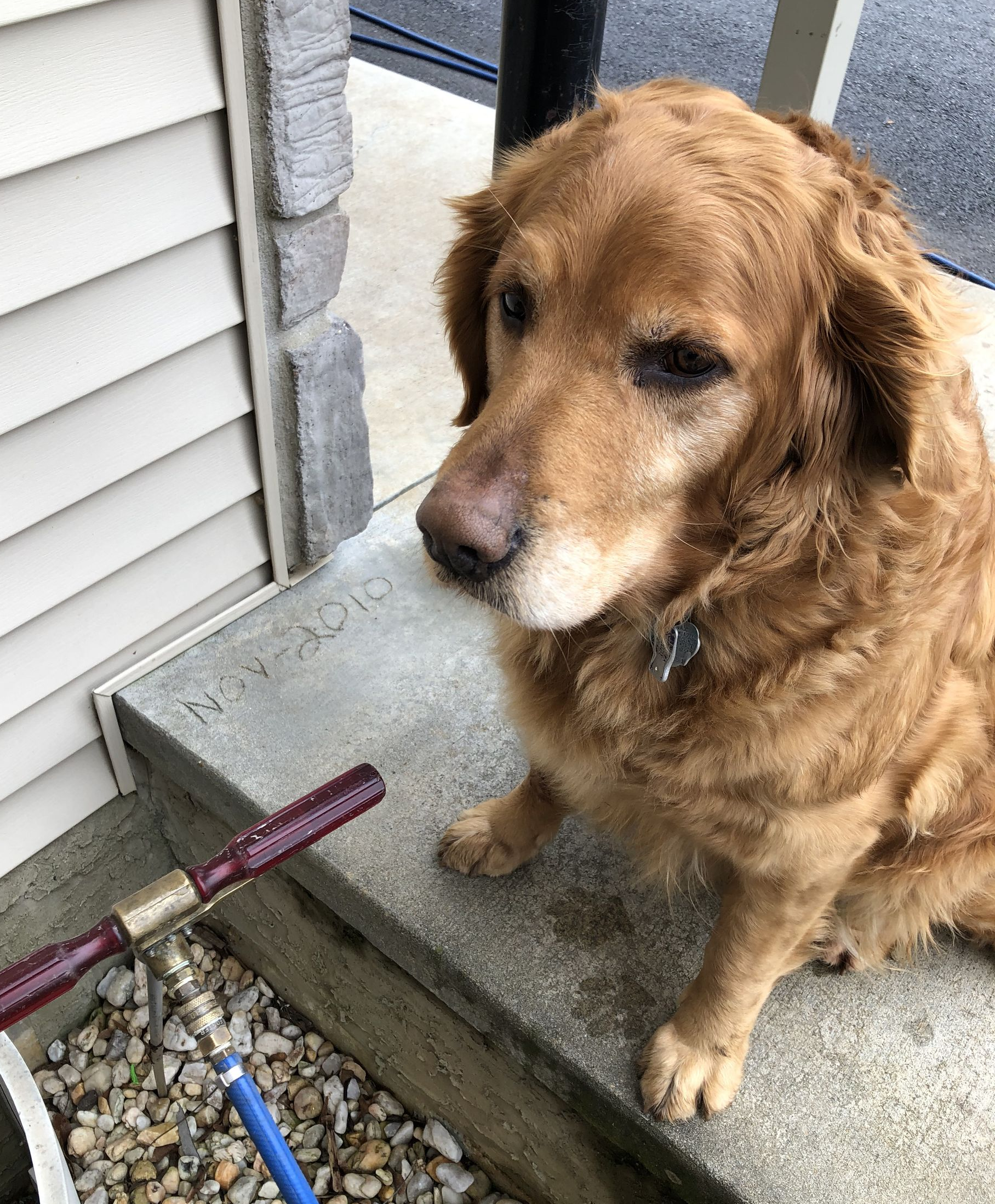 A person is spraying a bottle of insecticide on a tiled floor.