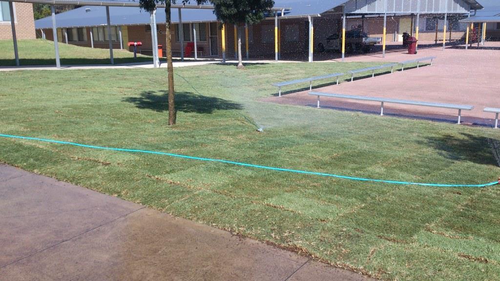 Grass Watering — Mt Riverview, NSW ¬¬— Eternal Landscapes