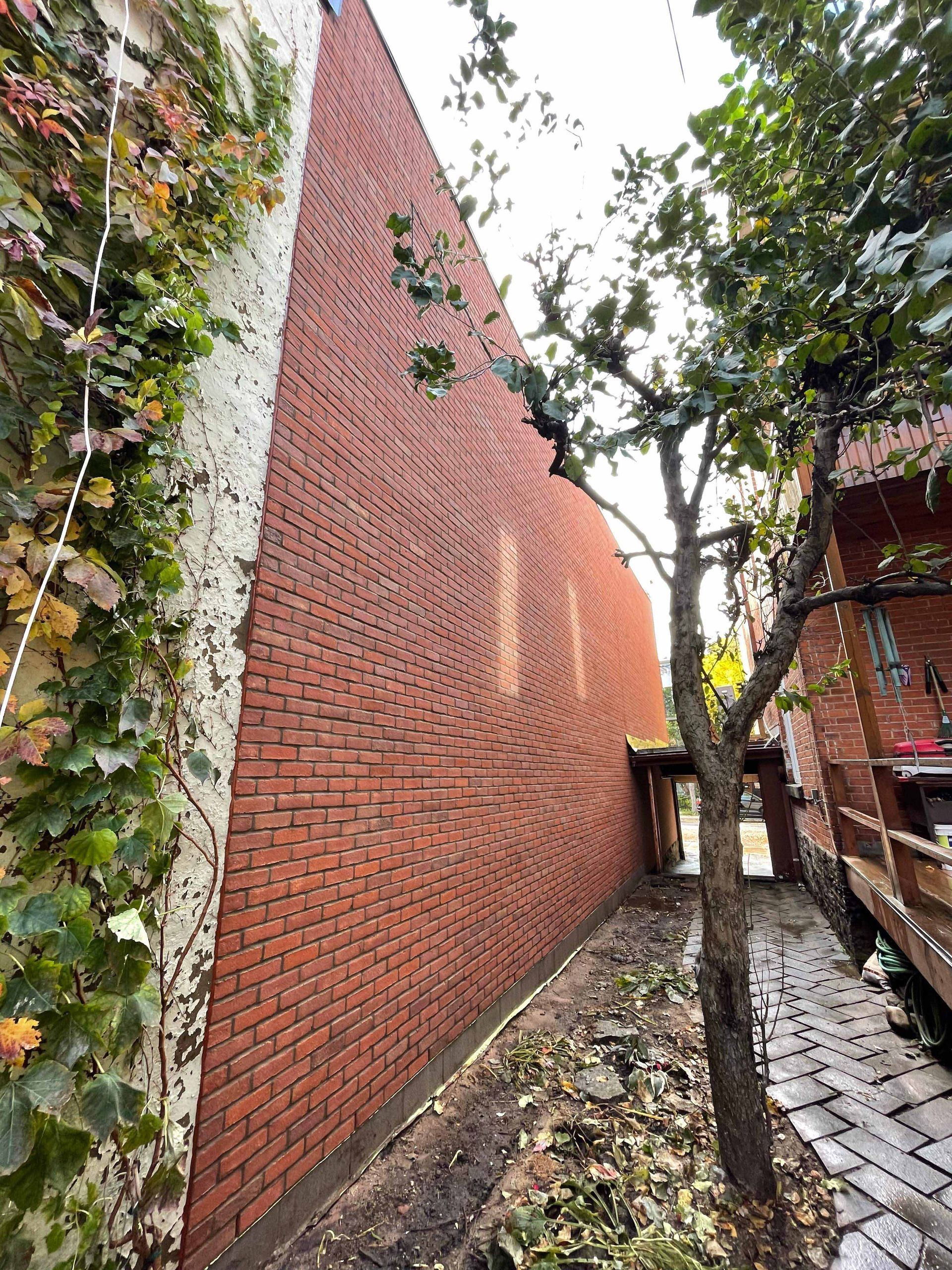 Bâtiment en briques rouges donnant sur une ruelle étroite. Un arbre pousse dans la ruelle.