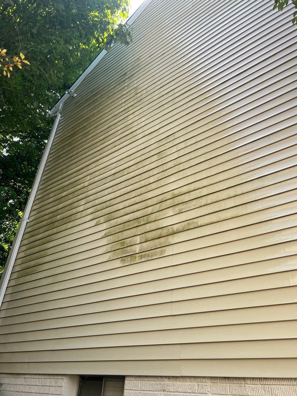 Beige siding on a house, stained with green mildew.
