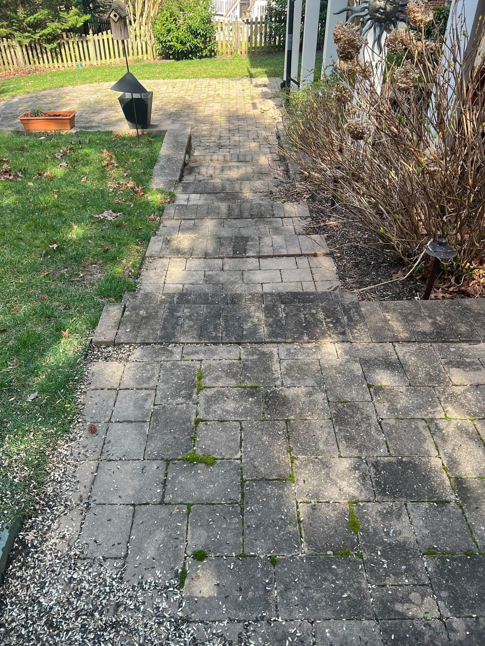Stone steps leading up, moss growing, next to dry bushes.