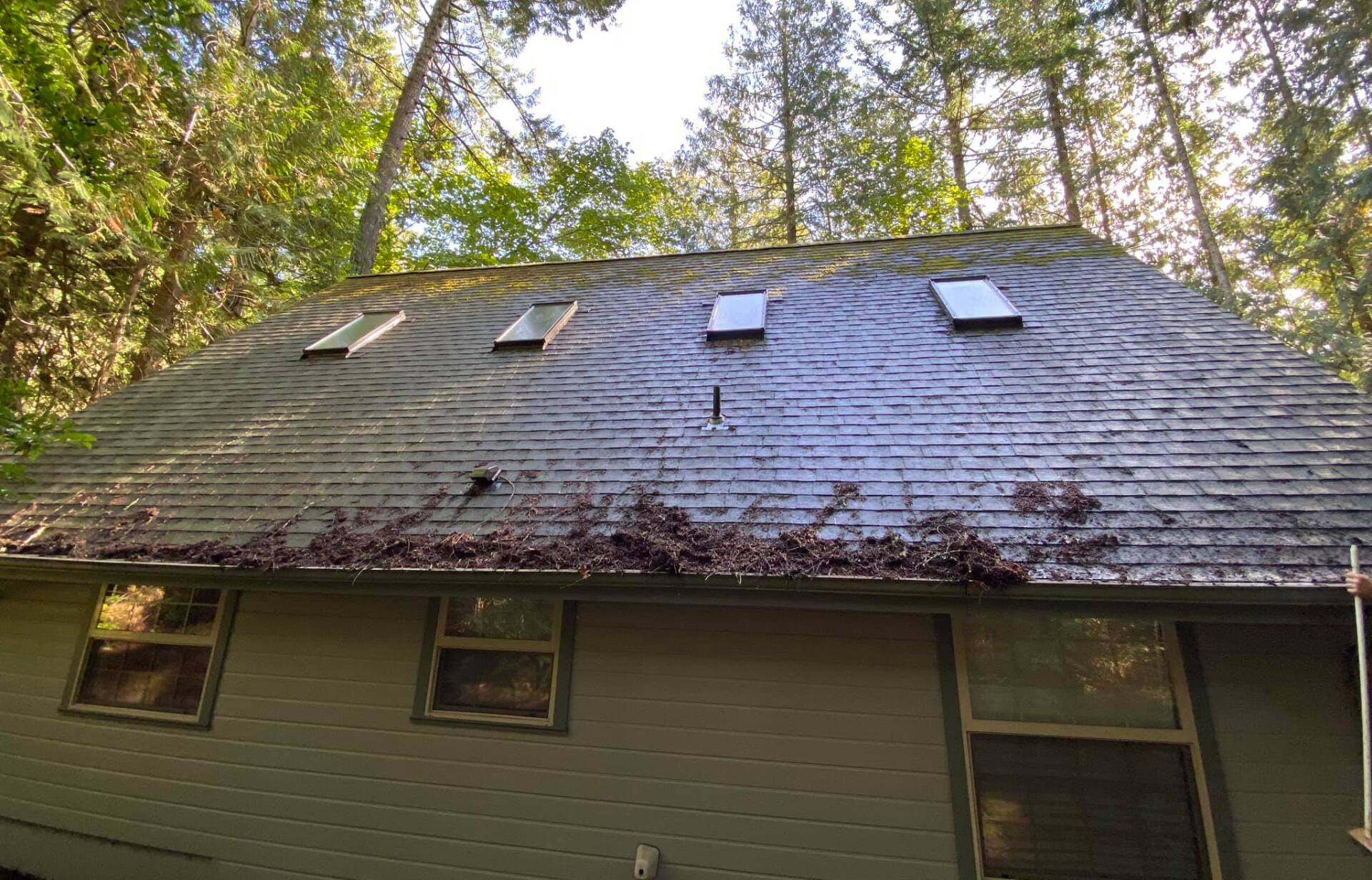Roof Cleaning |  Shelton WA | Norther Flow LLC