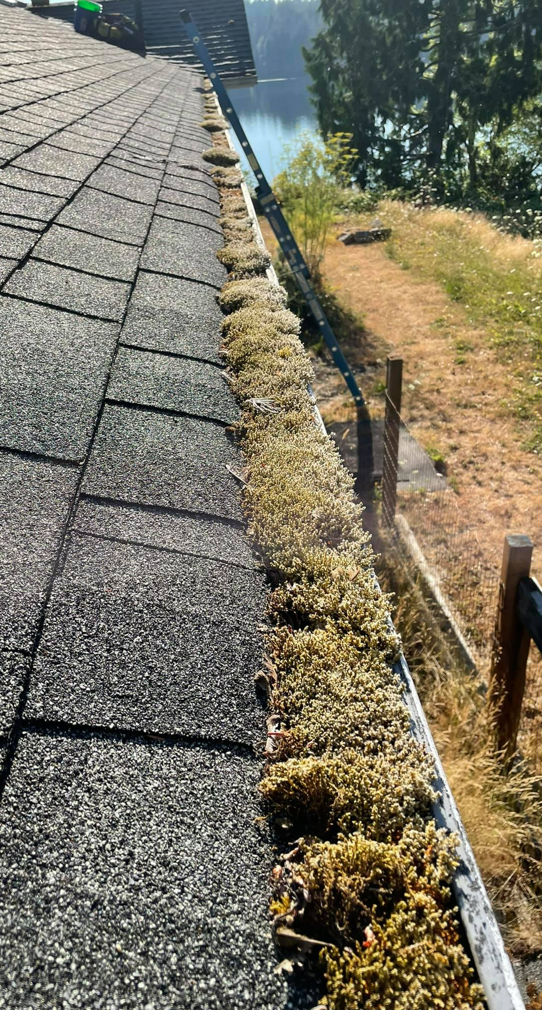 Gutter Cleaning | Tumwater WA | Norther Flow LLC