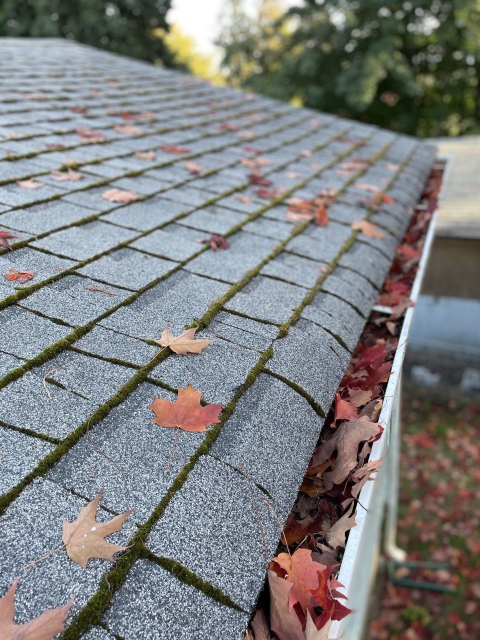 Gutter Cleaning |  Shelton WA | Norther Flow LLC