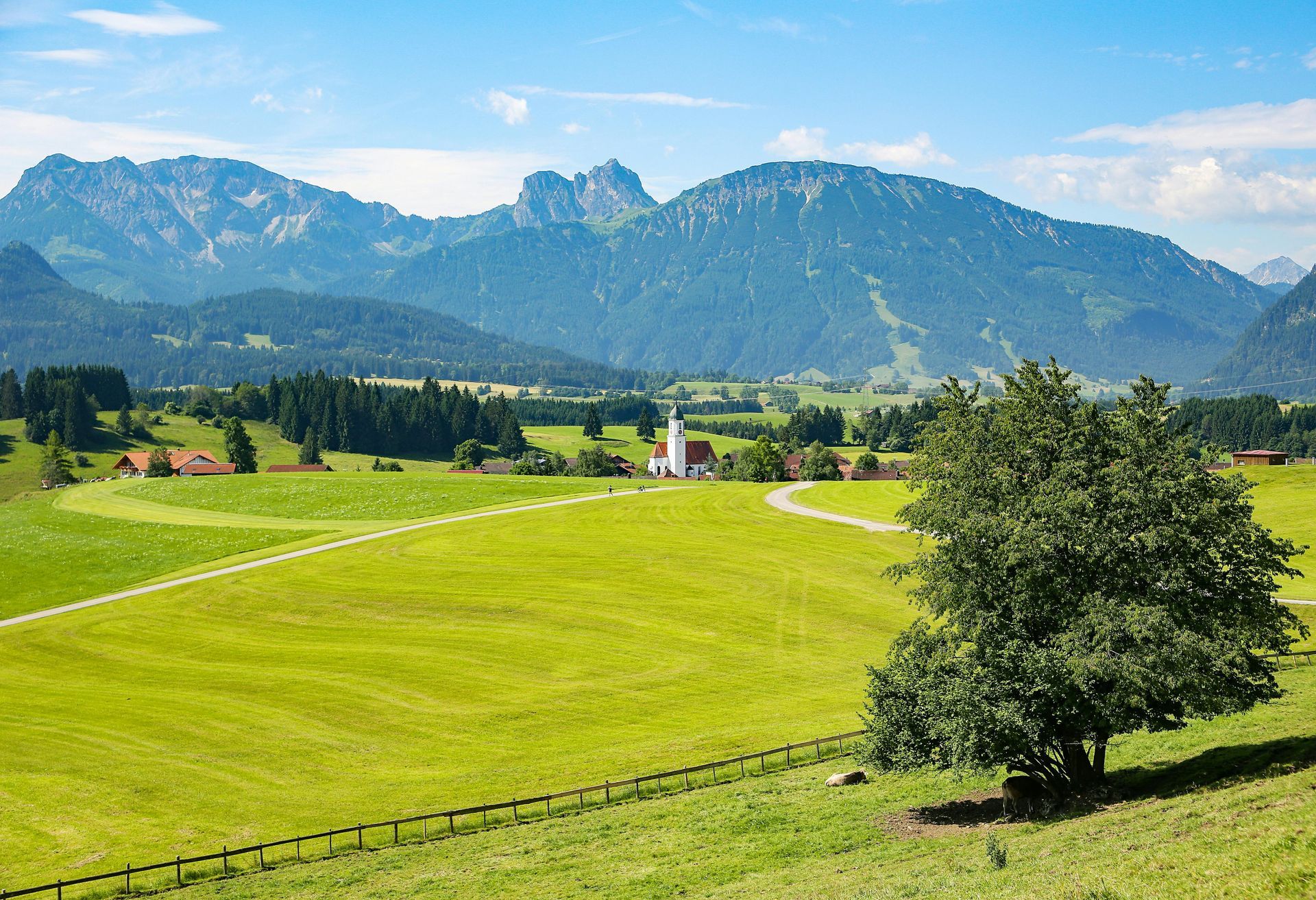 Green field with a tree, small village, and mountains under a blue sky.