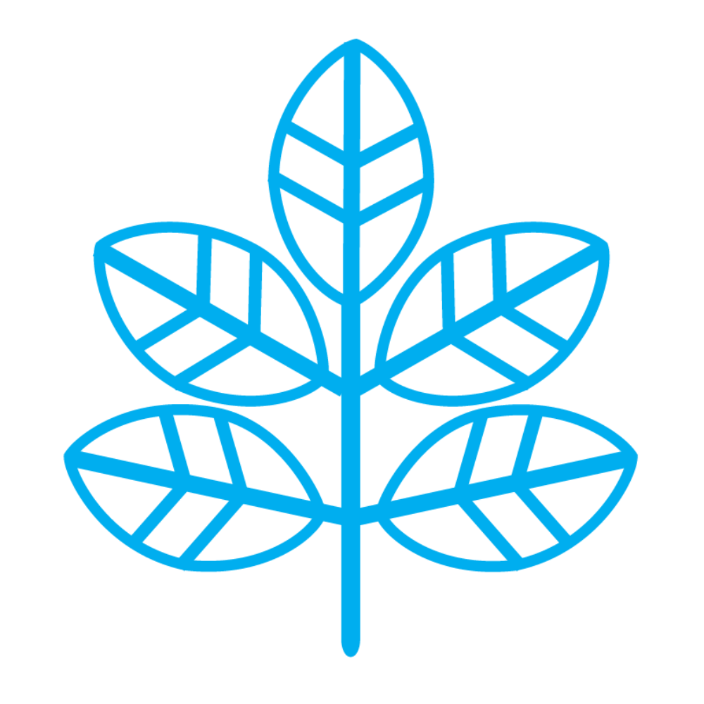 Blue outline of a plant with five leaves, against a white background.