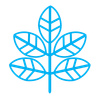 Blue outline of a plant with five leaves, against a white background.