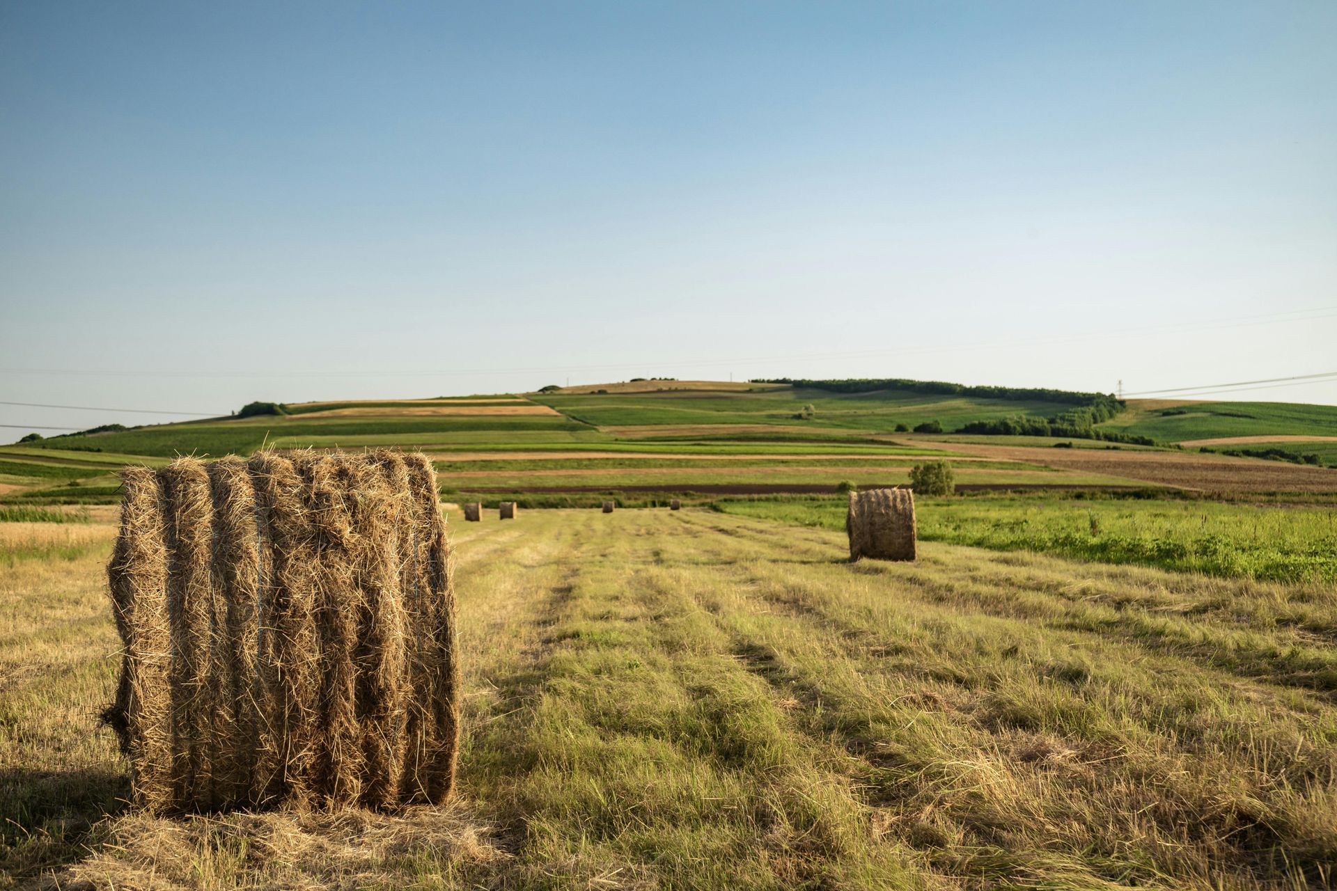 Hay bales sit in a field with a hillside in the background under a blue sky.