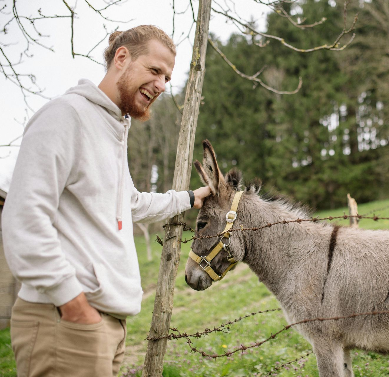 Man with blonde hair petting a gray donkey near a barbed wire fence in a grassy field.