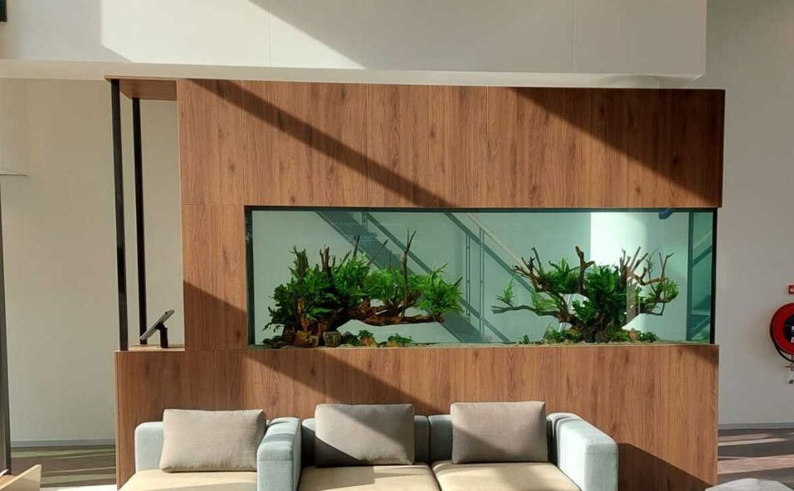 Maatwerk aquarium op kantoor