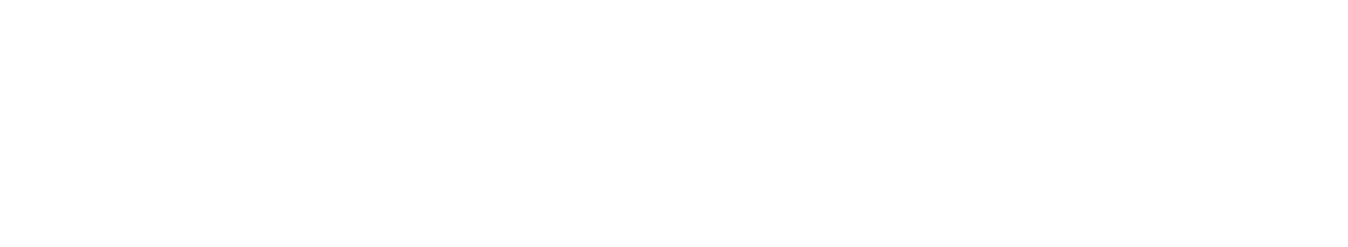 Brilliant Journeys LLC