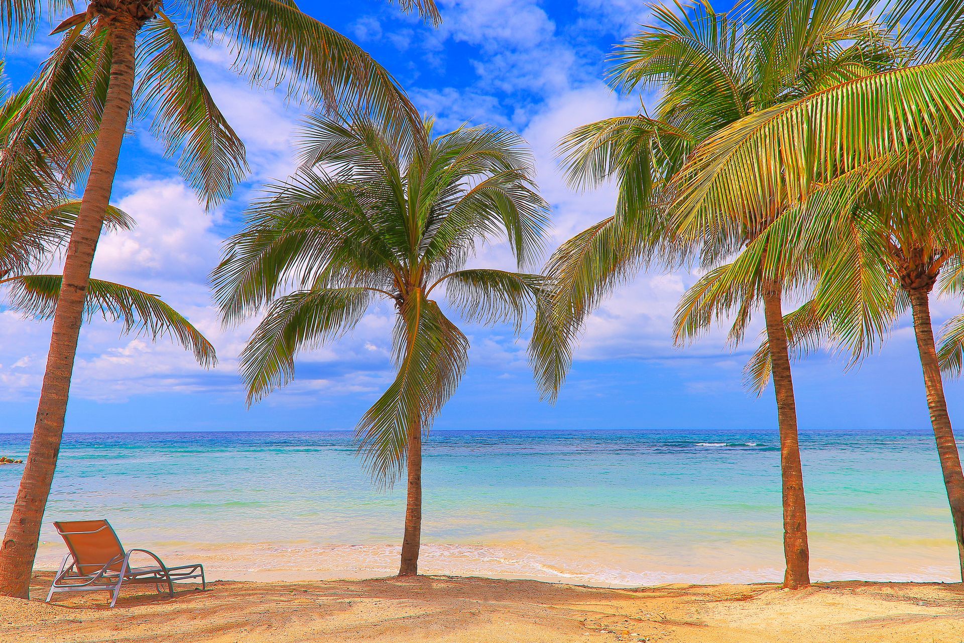 A row of palm trees on a beach with a chair in the foreground.