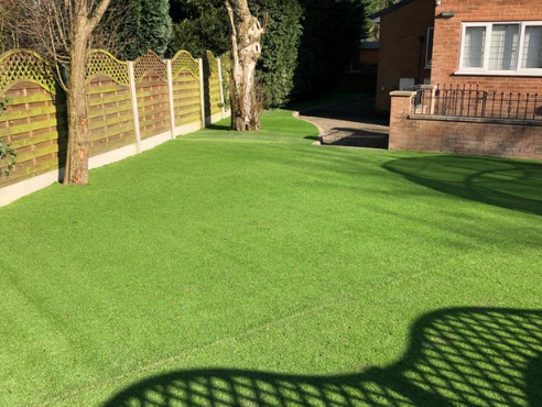 green lawn