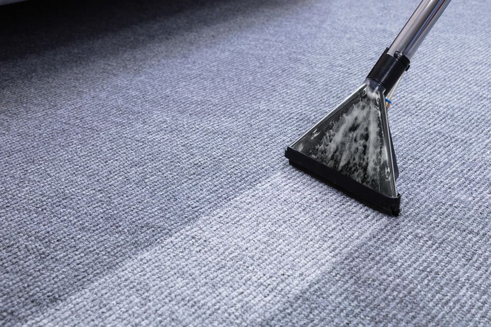 A person is cleaning a carpet with a vacuum cleaner.