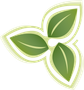 Labyrinth Holistic Healthcare, Naturopathic Medicine Oshawa