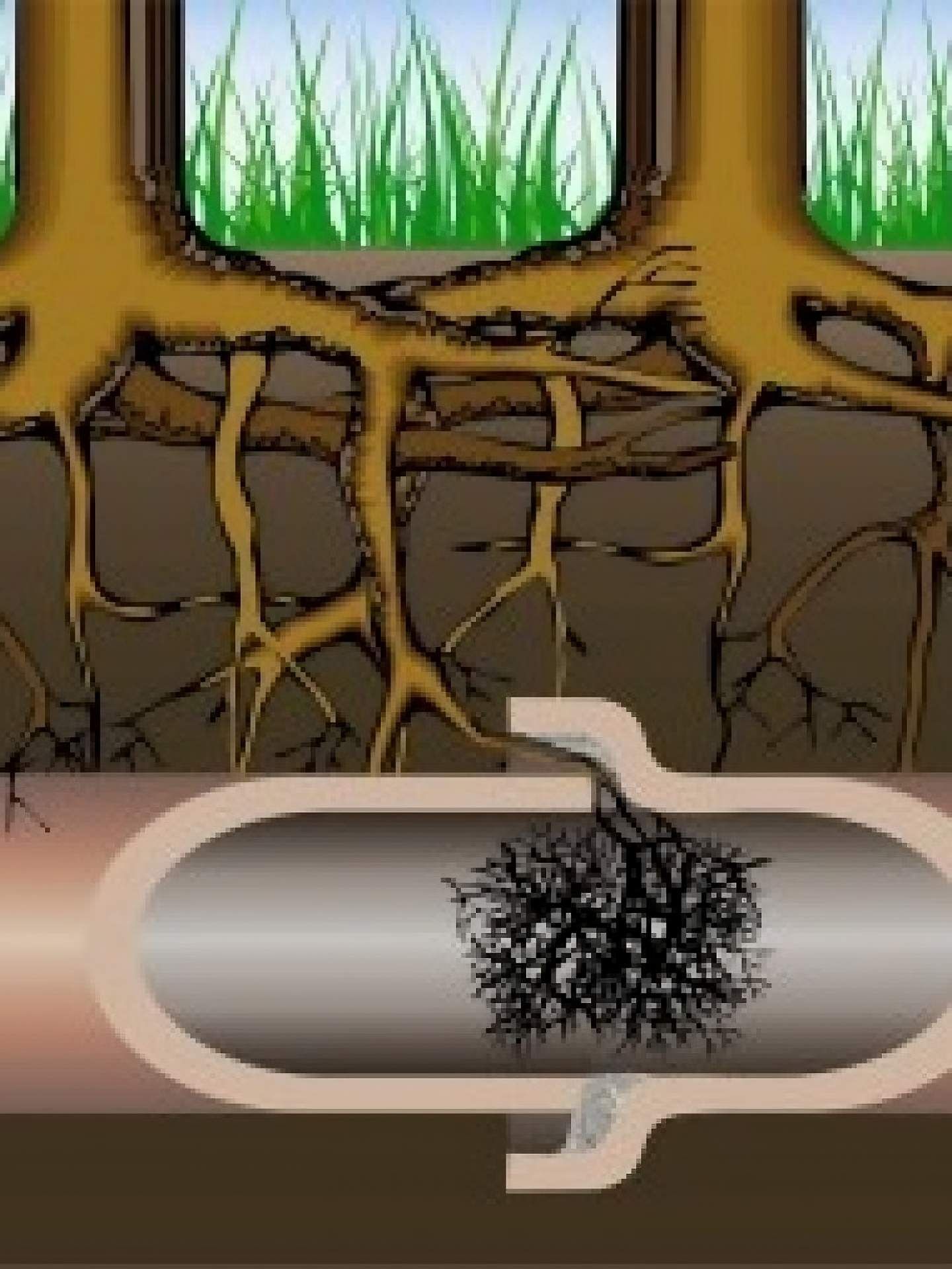 Pipe below surface damage structure