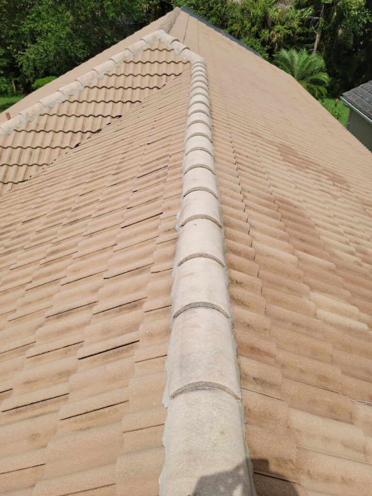 Tan tile roof with a row of rounded ridge tiles, viewed from above.