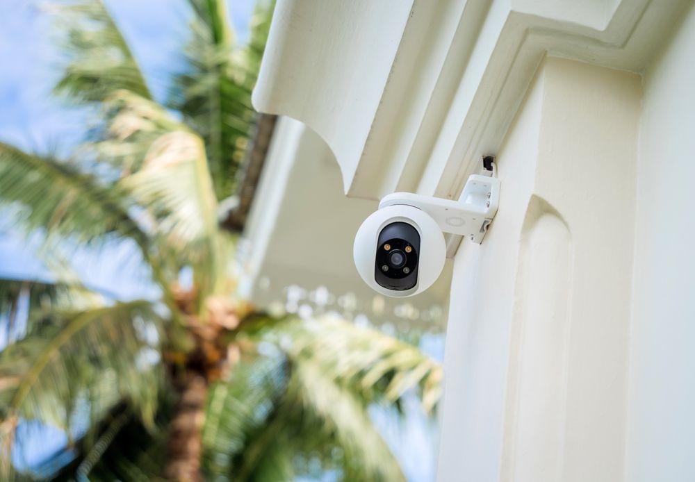 A security camera is mounted on the side of a building next to a palm tree.