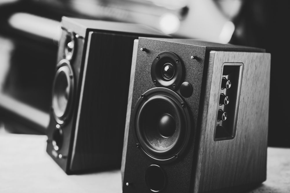 Two speakers are sitting on a table in a black and white photo.