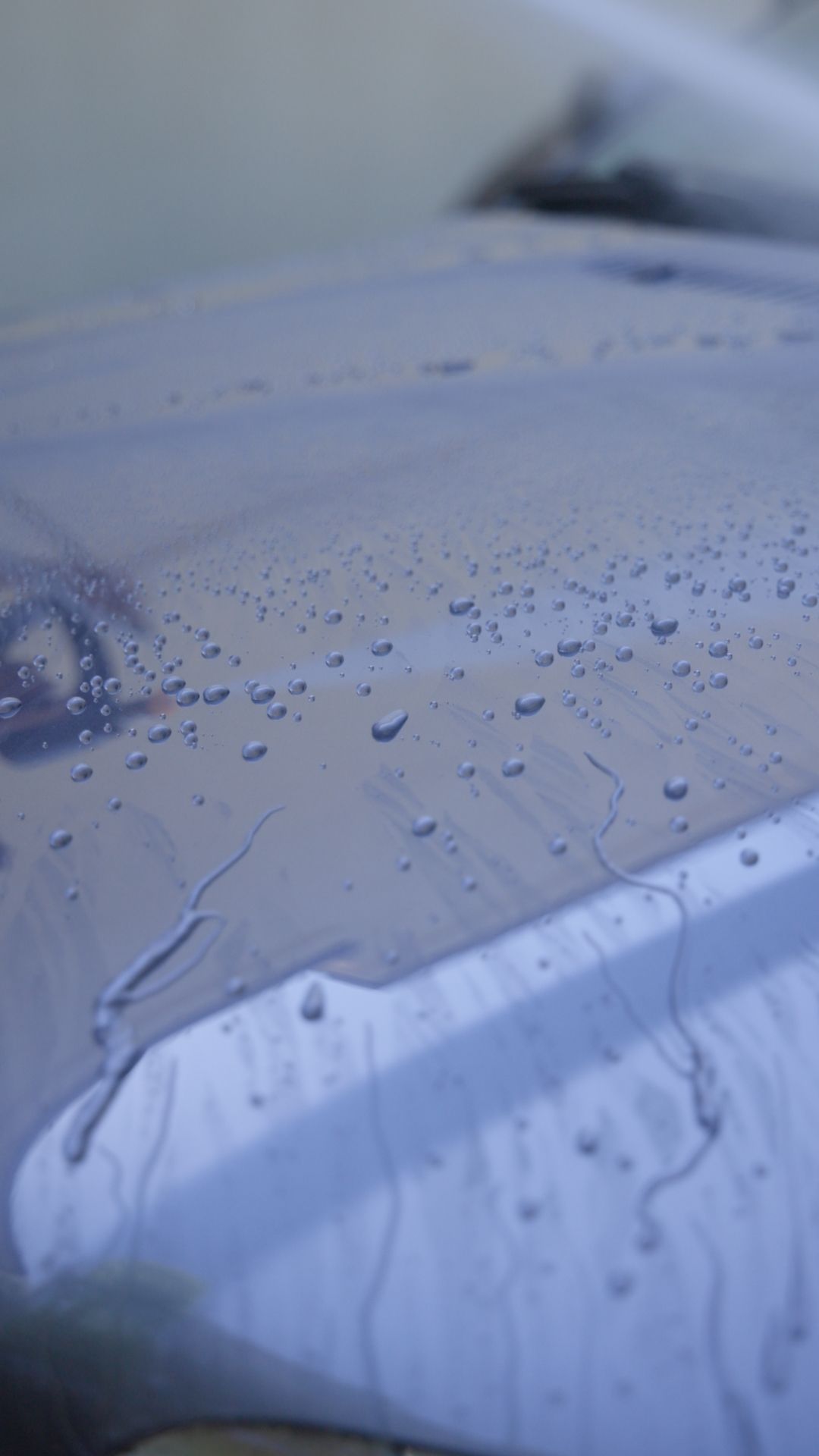 A close up of a car hood with water drops on it.