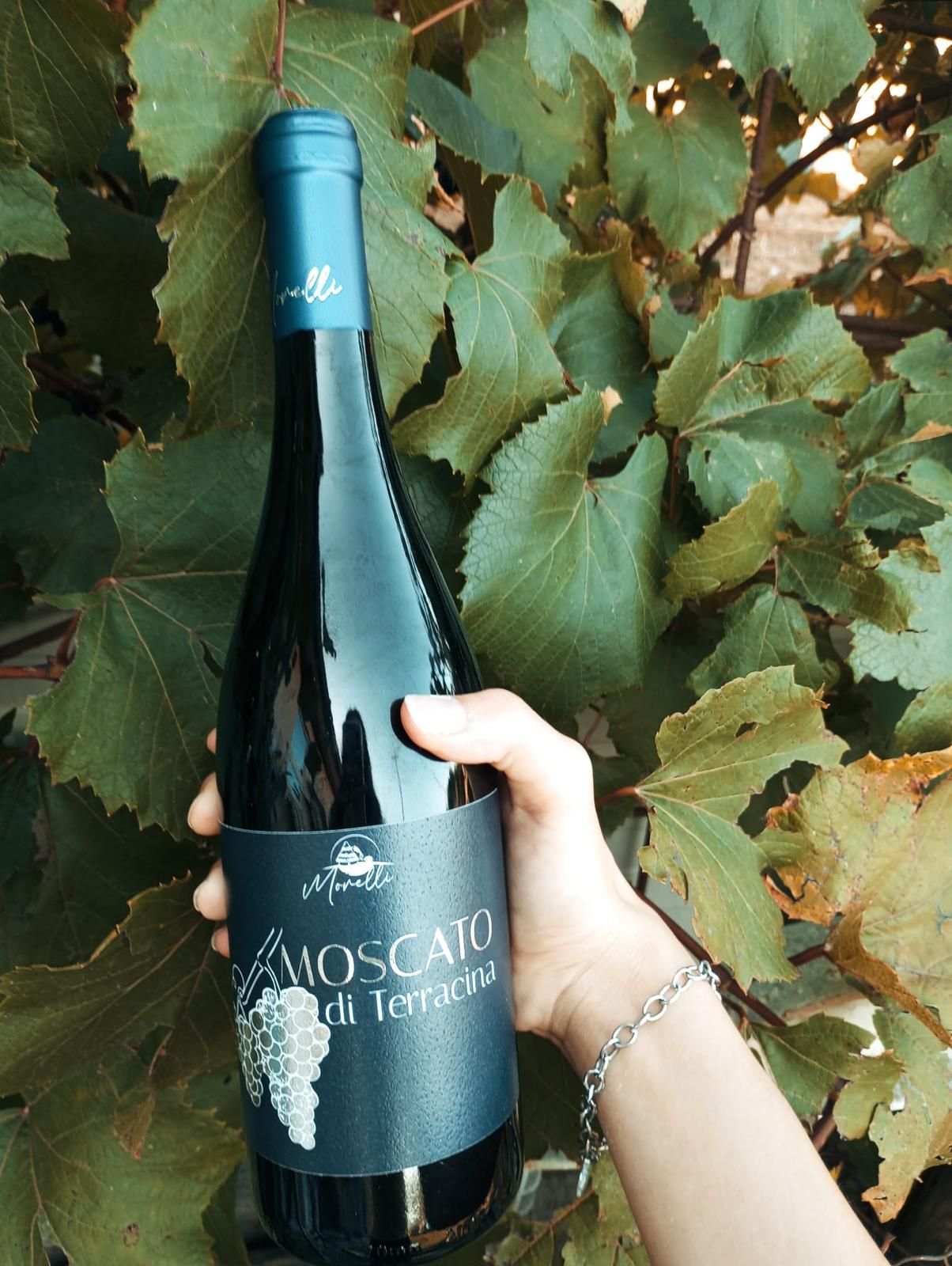 azienda agricola morelli