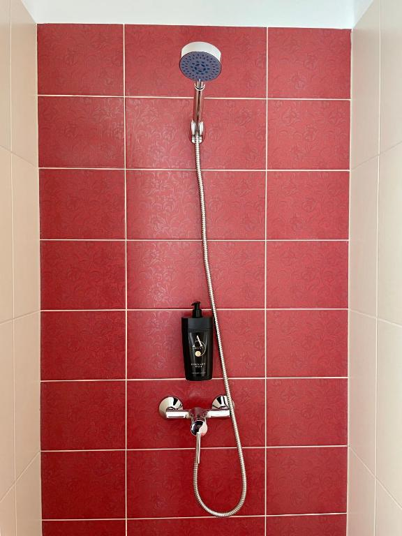 A shower with red tiles and a shower head