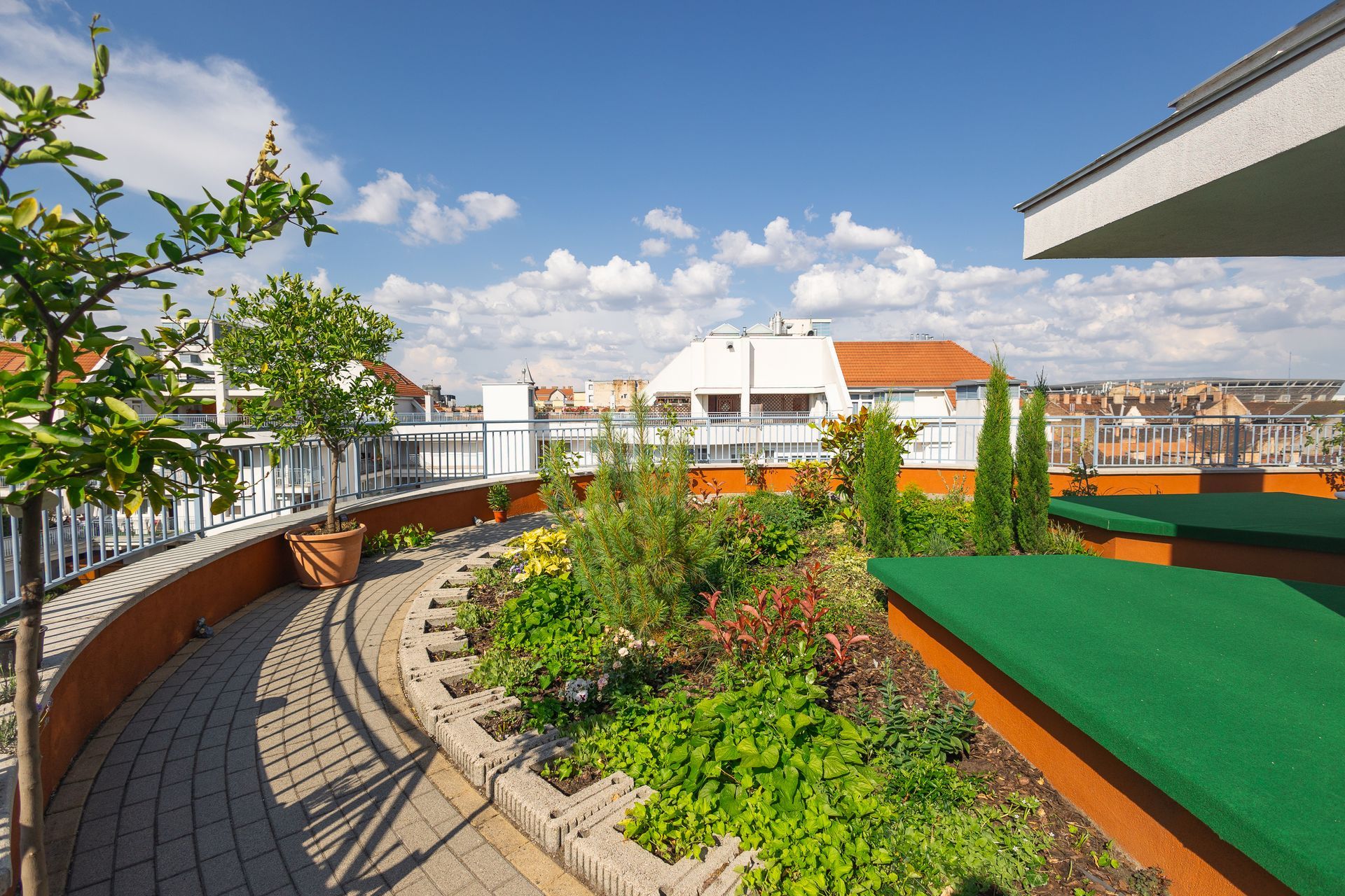 A rooftop garden with lots of plants and trees