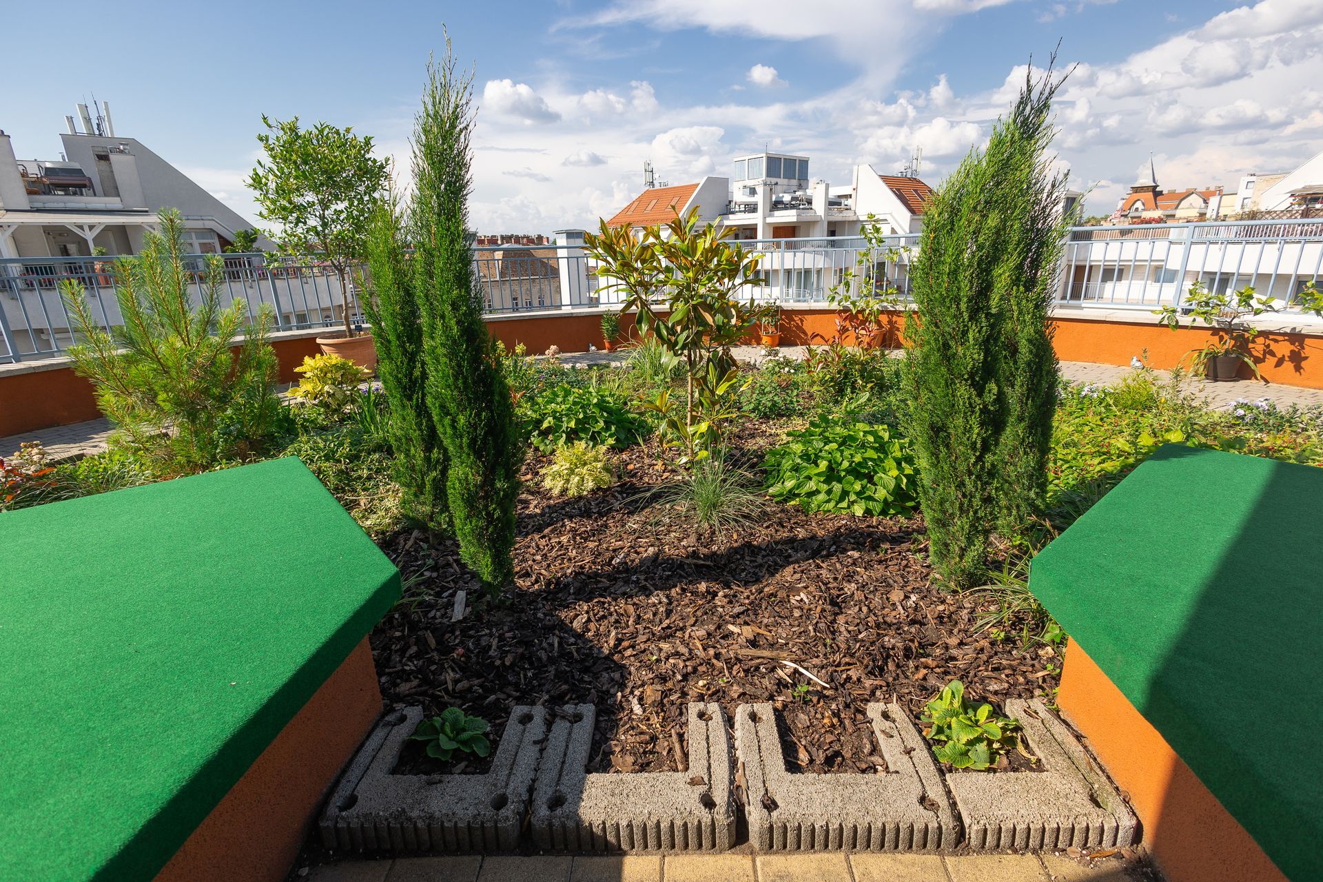 A rooftop garden with a few trees and plants