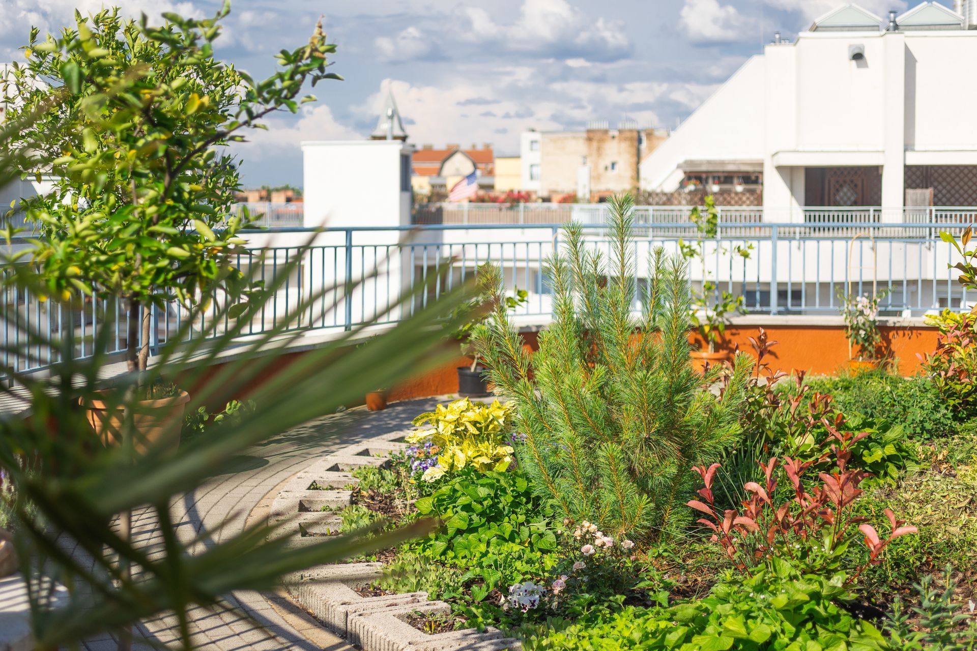 A rooftop garden with lots of plants and trees on a sunny day.