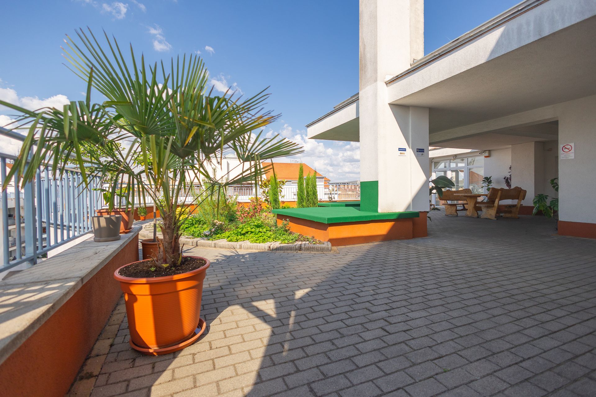 A potted palm tree is sitting on a brick walkway.