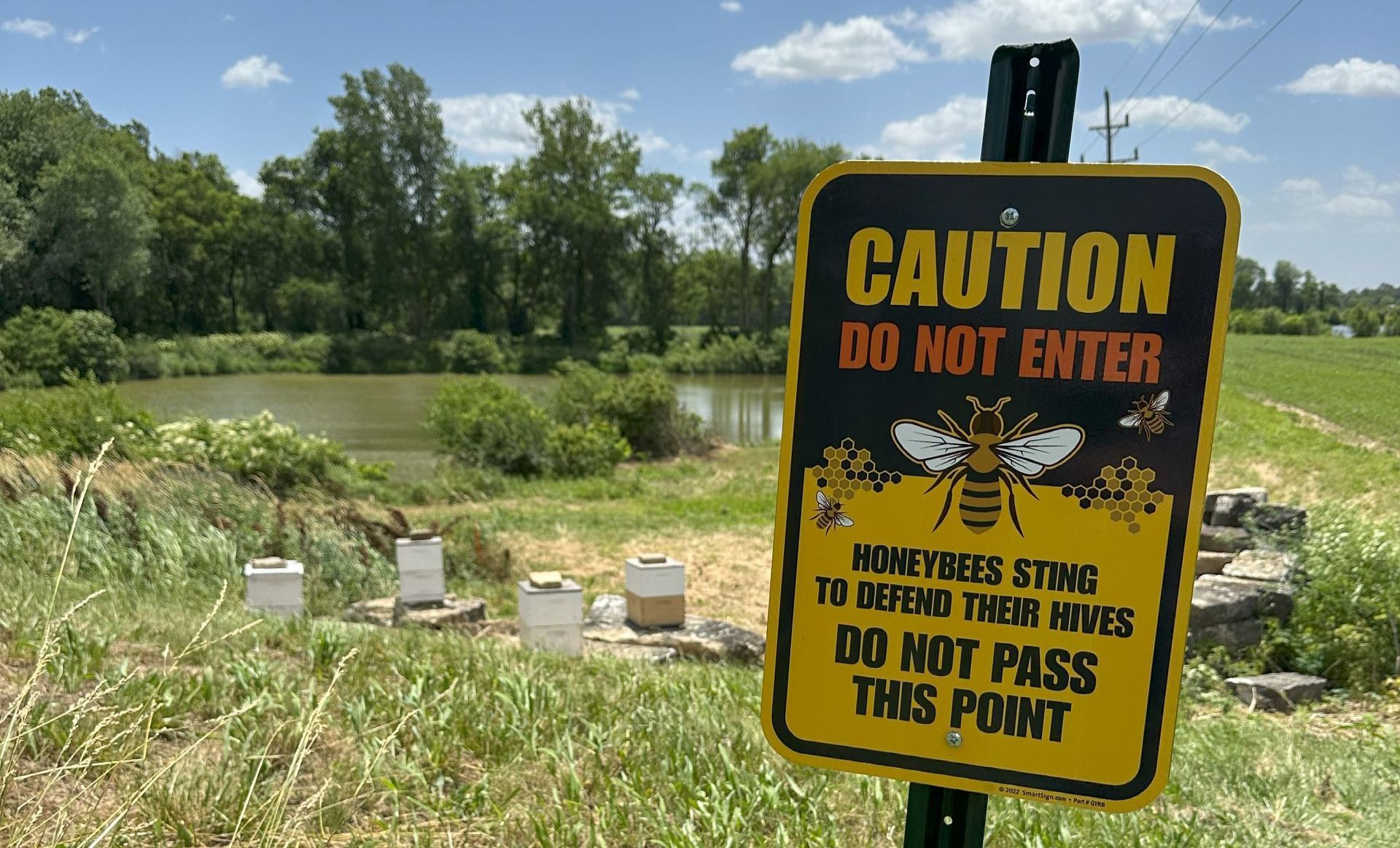 Photo of the warning sign and the bee hives installed at the Force offices.