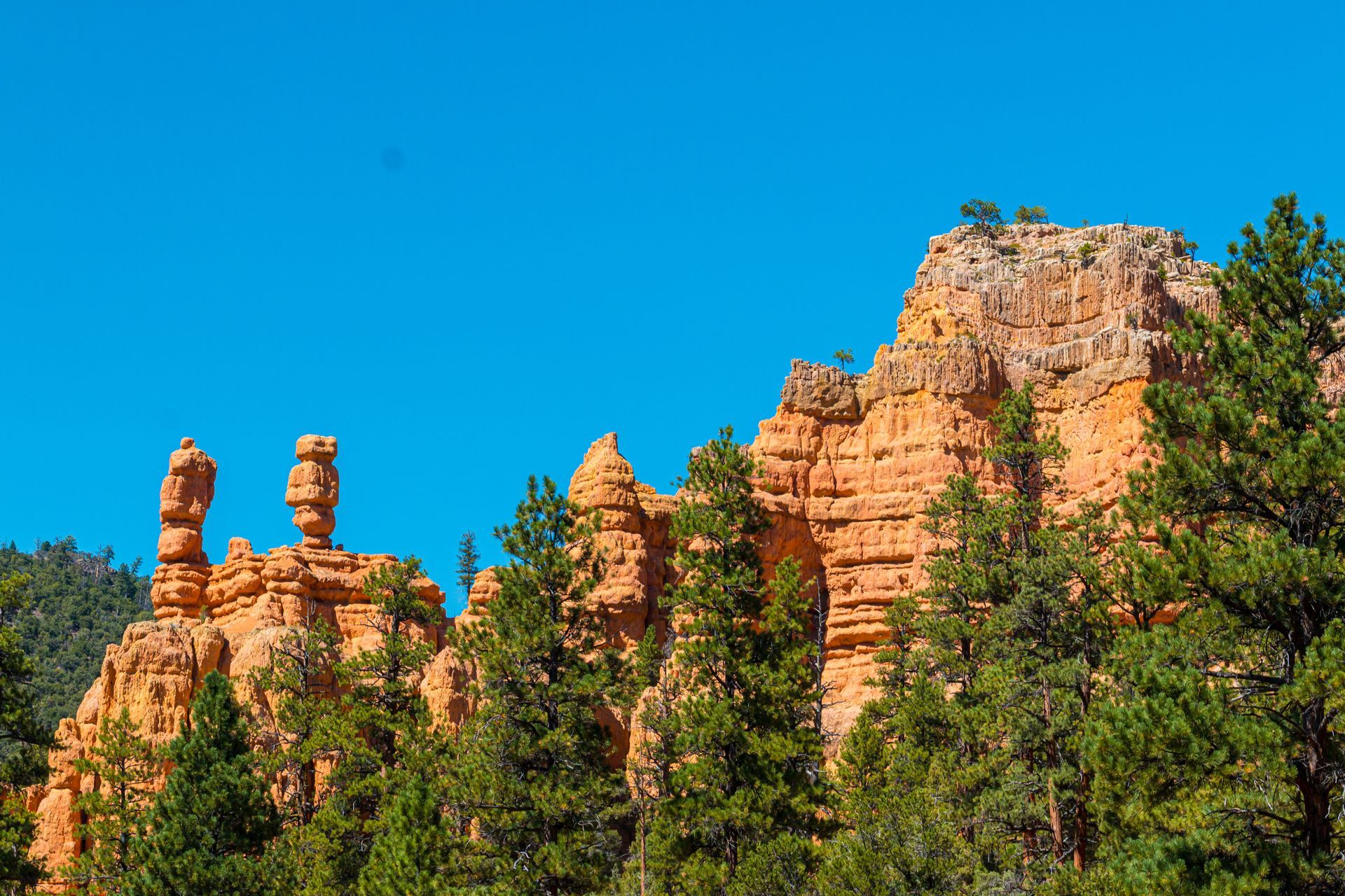A rock formation in the middle of a forest with a blue sky in the background.