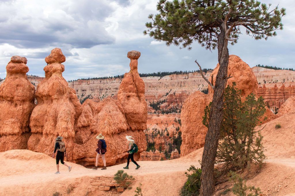 A group of people are walking through a canyon with a tree in the foreground.
