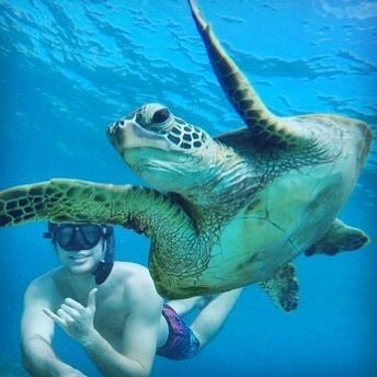 A man is swimming with a sea turtle in the ocean