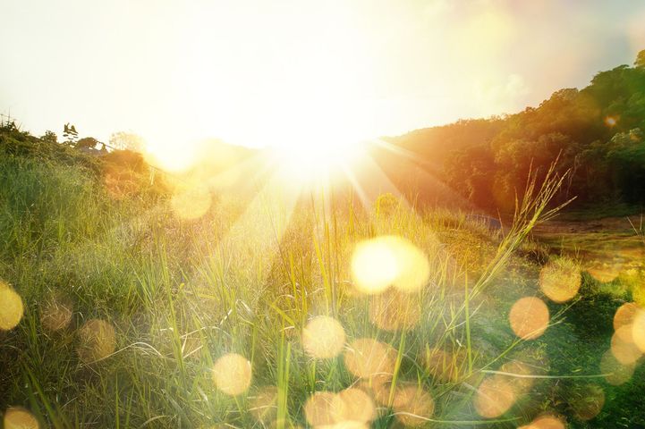 The sun is shining through the grass in a field.