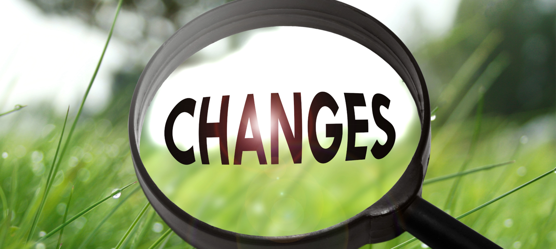 Magnifying glass over green grass, focuses on the word