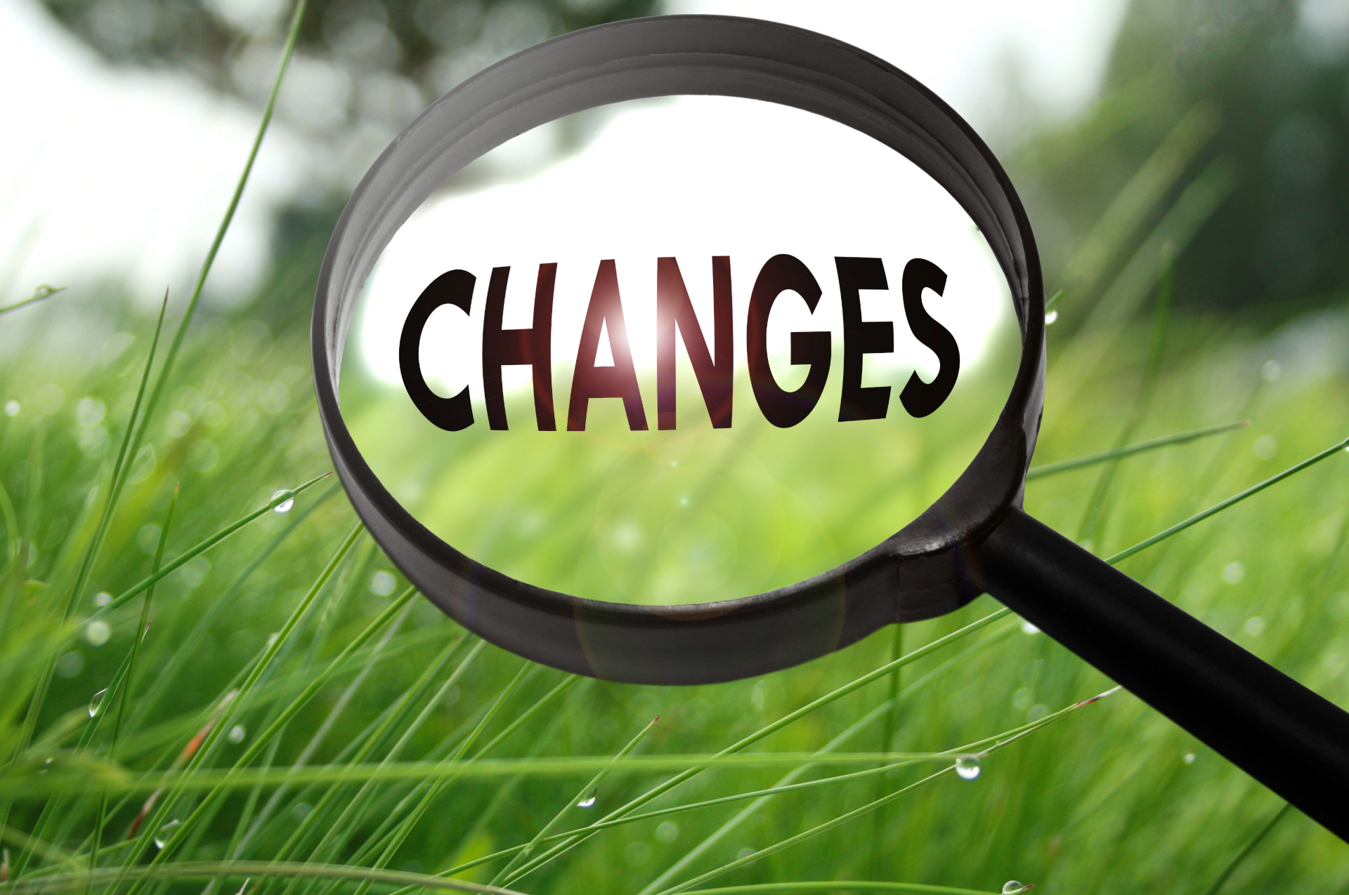 Magnifying glass over green grass, focuses on the word