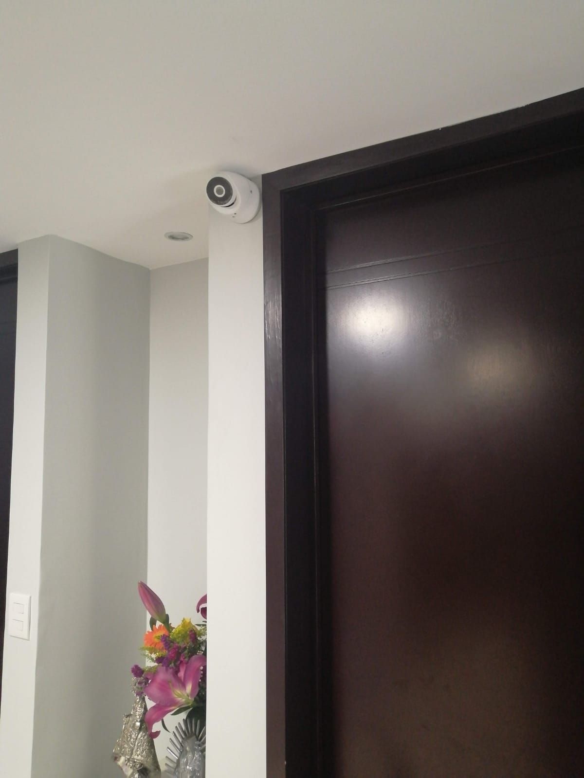 Cámara de seguridad montada en un techo blanco cerca de una puerta marrón y un arreglo floral.